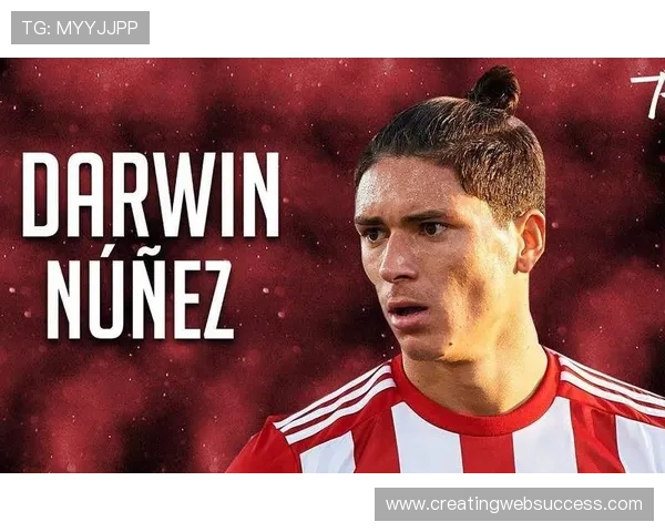 努涅斯转会费是否存在溢价