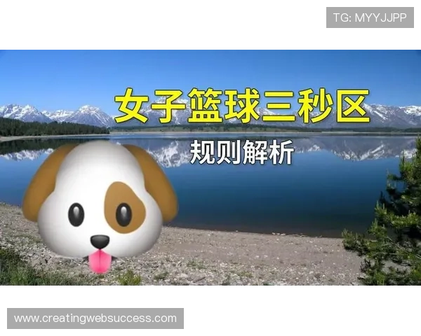 篮球限制区规则的基本概念与判罚机制深度解析